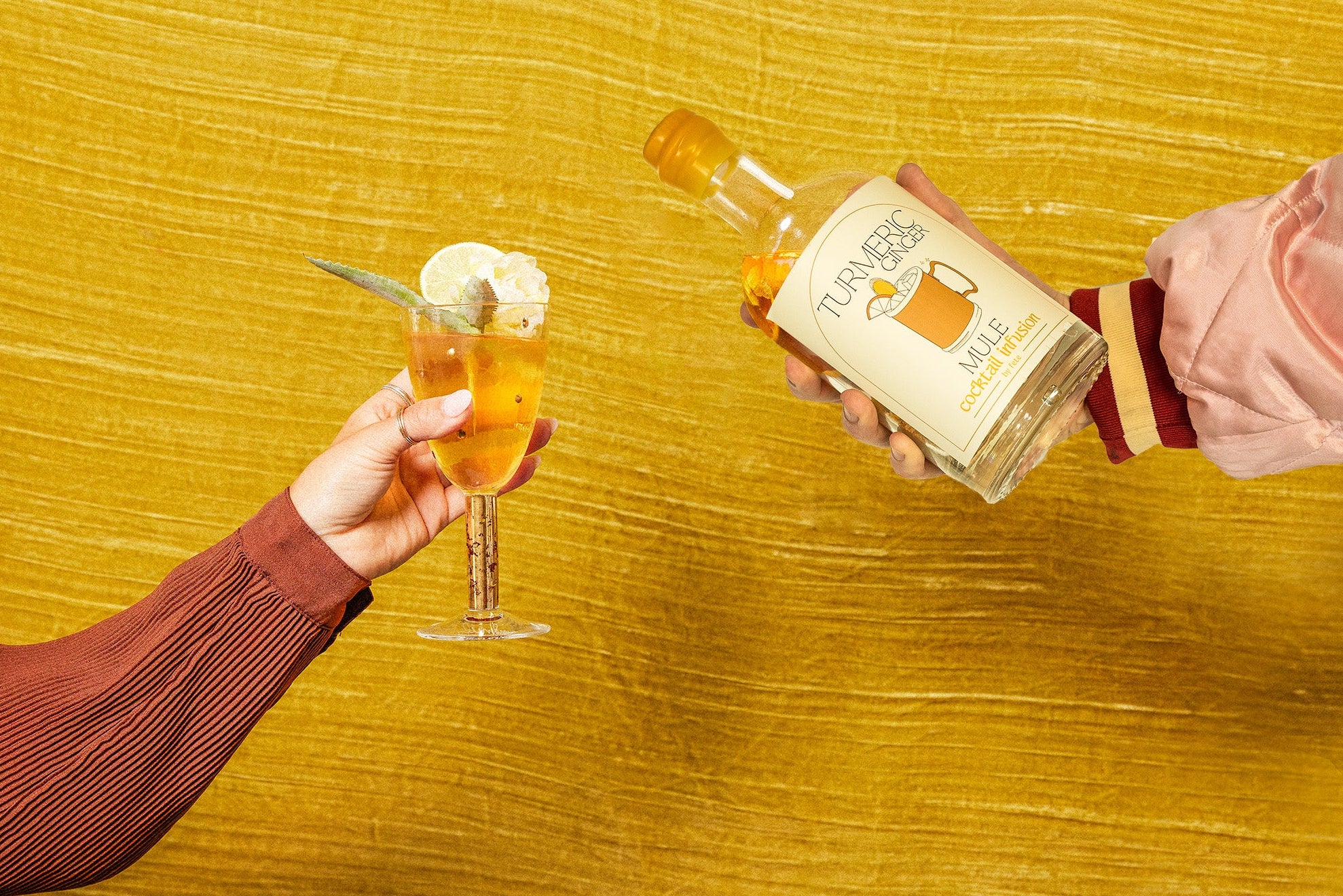 Turmeric Ginger Mule