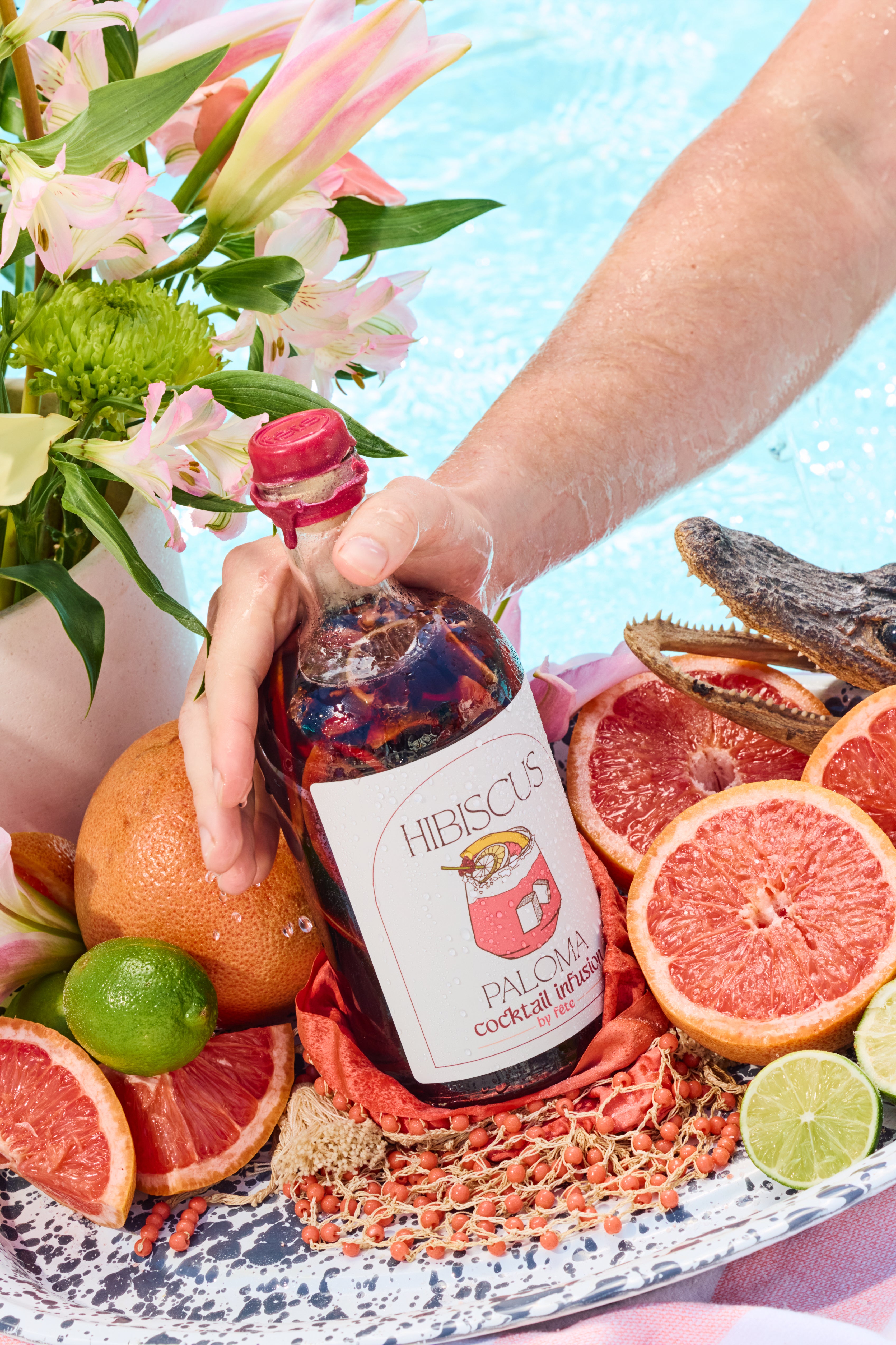 Hibiscus Paloma